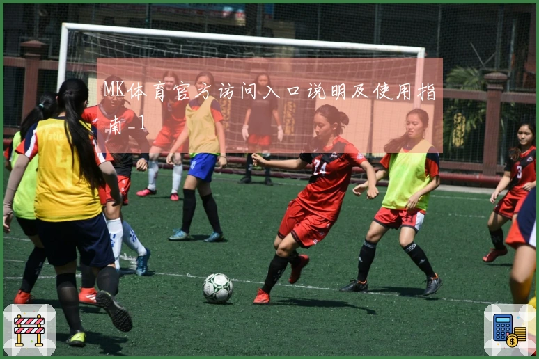 MK体育官方访问入口说明及使用指南_1