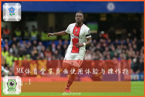 MK体育登录页面使用体验与操作指南_1